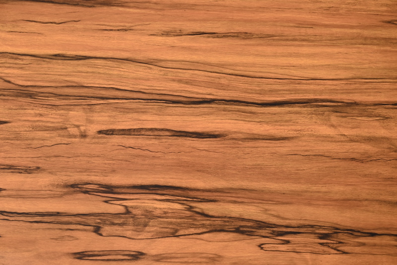 5 Reasons Builders Prefer ACP Panels Manufactures for Residential and Commercial Projects